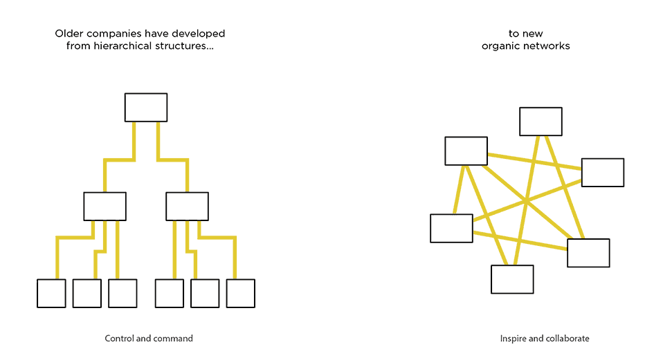 esquema_evolutivo_en